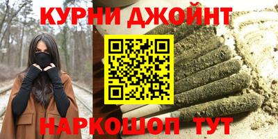 индика Беслан