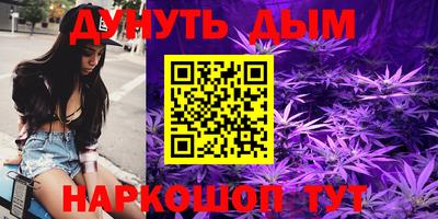 индика Беслан