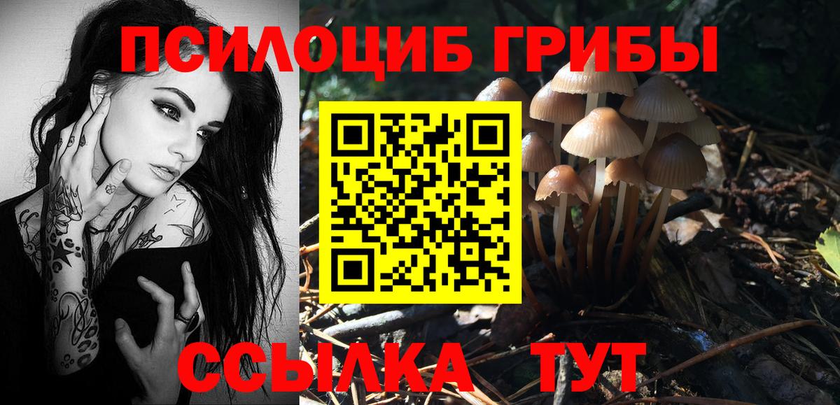 Галлюциногенные грибы Psilocybine cubensis  Вход с VPN  Кингисепп  Галлюциногенные грибы Magic Shrooms 