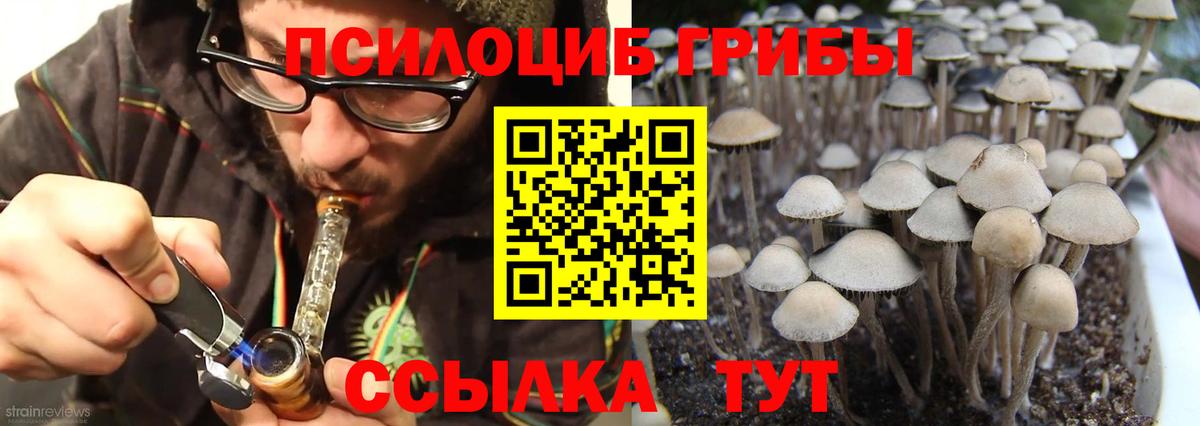 Галлюциногенные грибы GOLDEN TEACHER Кингисепп